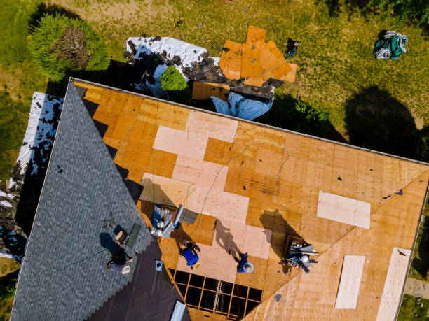 Best Flat Roof Repair Services  in Powers Lake, WI