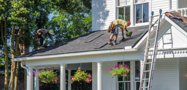 Best Roof Gutter Cleaning  in Powers Lake, WI